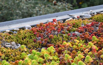 the cost of Pharis green roof installation