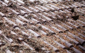 Pharis roof cleaning companies