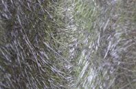 Pharis fibreglass roof work