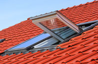 Pharis roof window